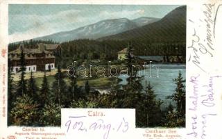 Tátra Csorba-tó villas (cut)