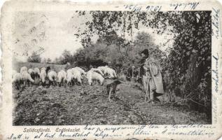 Szliácsfürdő forest, folklore