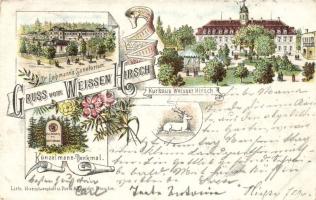 Dresden Weisser Hirsch sanatorium litho (b)