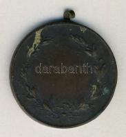 1949. M.D.A.O.SZ. Salgótarján 1949. Június 5-6. Br díjérem szalag nélkül T:2- ph