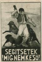 Hungarian irredenta propaganda s: Krémer Amália (cut)