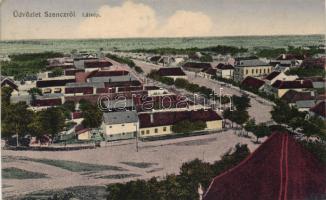 Szenc with synagogue (cut)