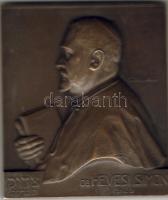 1925 "Dr. Hevesi Simon" bronzplakett Szign.: Csillag Judaika! T:2 RRR!!!
