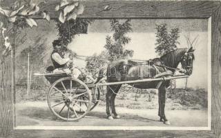 Nyíregyháza talyigás