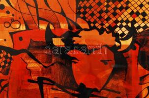 T.G. jelzéssel: Tatanka, digitális print, jelzett, keretben 32x42 cm