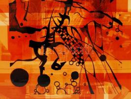 T.G. jelzéssel: Tatanka, digitális print, jelzett, keretben 32x42 cm