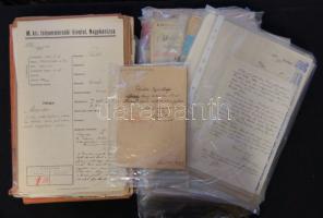 1895-1930 A kezdetben Baross Gábor által irányított Dráva szabályozás tervdokumentációja. Nagy, egységes  irat és rajz anyag 6 mappában sok kézzel rajzolt térképpel, műszaki rajzzal és hydrológiai méréseket tartalmazó dokumentummal. Összesen több száz irat. A helytörténészek és a téma kutatói számára rendkívül érdekes anyag.