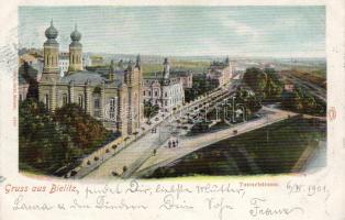 Bielitz mit Synagoge