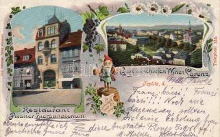 Teplitz Biersanatorium Litho