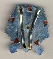 ~1960. Járőrparancsnok jelvény T:2+