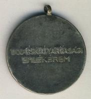 1919-1959 Tanácsköztársasági emlékérem szalag nélkül T:2