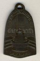 Csehország DN "Mariánské Lázně"(Marienbad) gyógyfürdőhely vas emlékmedál T:2
Czech Republi...