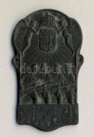 1917. I. Világháborús emlékplakett "In memoriam 1914-1917" felirattal központi hatalmak címerei és Magyarország címere T:2