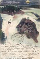 Trollhätten nymph (EK)