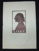 P. Károlyi jelzéssel: Liszt Ferenc árnykép, 30x21 cm