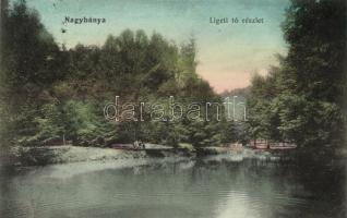 Nagybánya park