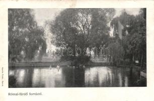 Budapest III. Római fürdő forrástó