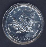 Kanada 2009. 5$ színezüst 1 uncia tanúsítvánnyal T:P