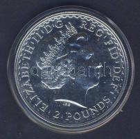 Nagy-Britannia 2009. 2Ł 1 uncia színezüst T:1