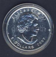 Kanada 2007. 5$ Ag (színezüst) 1 uncia T:P