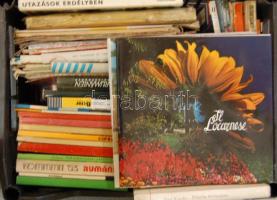 Egy ládányi könyv: Útikönyvek