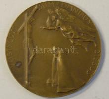 Olazország cca 1962 II. Vatikáni Zsinat IV. ülése Br emlékérem szign.:J.Crocetta T:2 / Italy cca 1962. "Second Ecumenical Council of the Vatican" Br medallion T:2