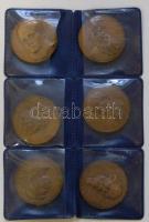 Oroszország DN 6db Br emlékérem az orosz irodalom kimagasló személyiségei: Nyekraszov, Dosztojevszkij, Tolsztoj, Gogol, Puskin, Lermontov T:2