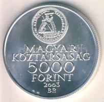 2003. 5000Ft Ag "Rákóczi szabadságharc évfordulója" T:BU Csak 3000db!