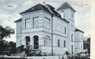 Alvinc Horváth castle