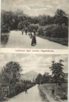 Nagybánya Széchenyi park