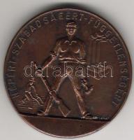 1947 körül "Magyar Szabadságharcos Szövetség" bronz T:2