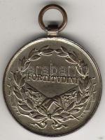 Ausztria 1916 "Fortitudini" ezüstözött  bronz T:2