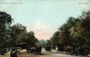 New York Central Park