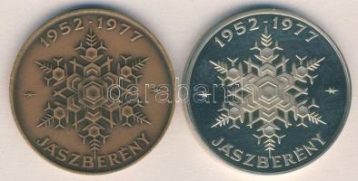 1977. "25 éves a hűtőgépgyár-Jászberény" Ag 42,98g és Br emlékérem pár T:PP,2+