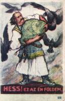 Hands off! This is my Hungary (wet damage)