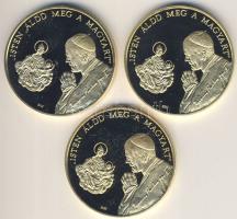 1991. "Napjaink magyar történelme - II. János Pál Pápa látogatása - Budapest / Máriapócs / Pécs" aranyozott emlékérem 3klf darabja! (d:42,5mm) T:PP