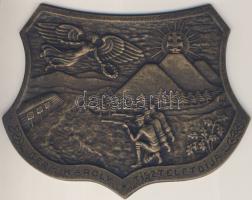 DN. "Germ Károly Tiszteletdíja" feliratú Br emlékplakett adományozói (sérült) dobozban. Szign.: HJ (d:147x107mmm) T:1-