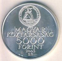 2003. 5000Ft Ag "Rákóczi szabadságharc évfordulója" T:BU Csak 3000db!