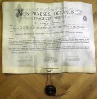 1898 Szép állapotú gyógyszerész diploma pergamenen, ép függő viaszpecséttel. Az oklevél hátoldalán a Hont megyei főispán és főorvos patika-nyitásra jogosító engedélye / Pergamin diploma for pharmacist and authorisation for opening pharmacy, issued in Sahy 60x55 cm
