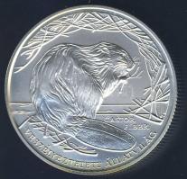 2000. 3000Ft Ag "Veszélyeztetett állatvilág-hód" T:BU Csak 3000db!