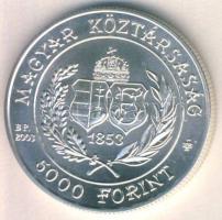 2003. 5000Ft Ag "Budapesti Filharmoniai Társaság" T:BU csak 4000db!