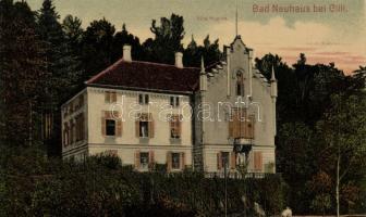 Novi grad (Bad Neuhaus) by Celje Villa Hygiea