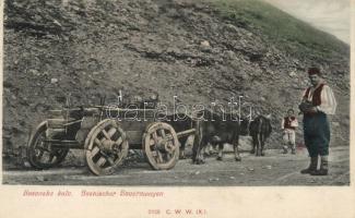 Bosnian peasant carriage, folklore