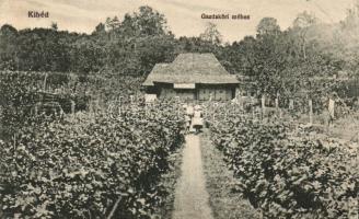 1918 Kibéd, Chibed; Gazdaköri méhes, méhészet / apiary, beekeeping farm (EK)