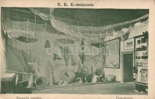 Kolozsvár EKE museum, fishing exphibition