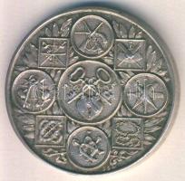 1800-as évek vége DN "Jeles inasmunkáért a szorgalom jutalmazása" Ag emlékérem szign.:S.G.A. T:P ph.