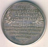 1800-as évek vége DN "Jeles inasmunkáért a szorgalom jutalmazása" Ag emlékérem szign.:S.G....