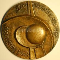 Litvánia "A. Caks..." extrém súlyos és  nagyméretű modern bronz plakett T:2