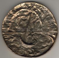 "Egry J. baráti kör Badacsony" nagyméretű modern bronz plakett T:2