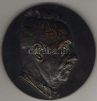 1943"Prof. Lentz Béla" nagyméretű bronz plakett szig.:FB T:2